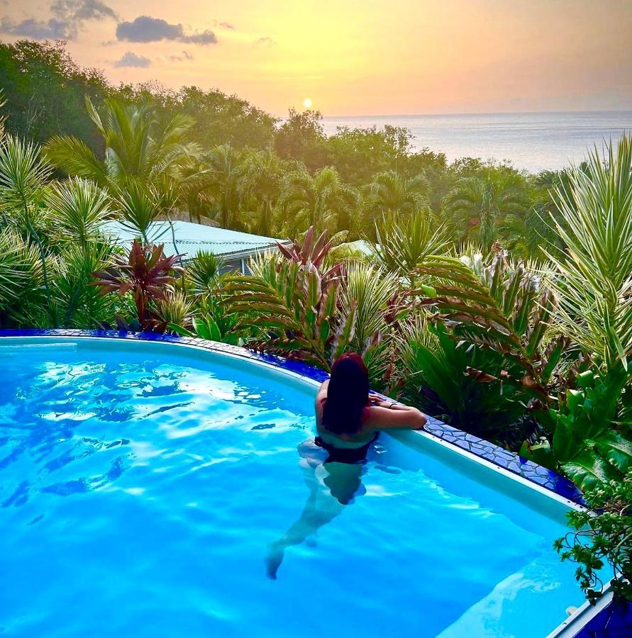 Vue Mer/3Beds/Piscine/Wifi/900 Metres De La Plage Deshaies Dış mekan fotoğraf